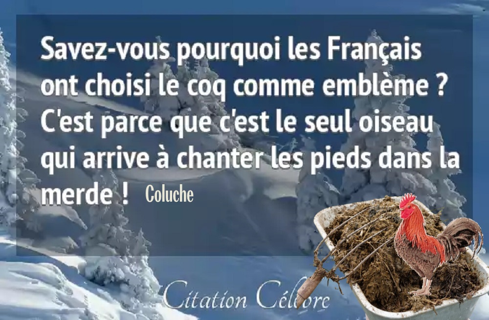 BY25. Politique - Citation de Coluche