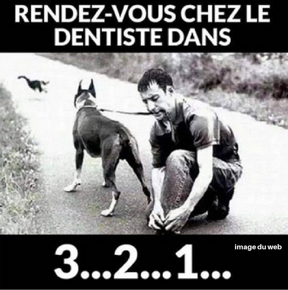 BZ12. Humour - Aie Aie Les Dents !