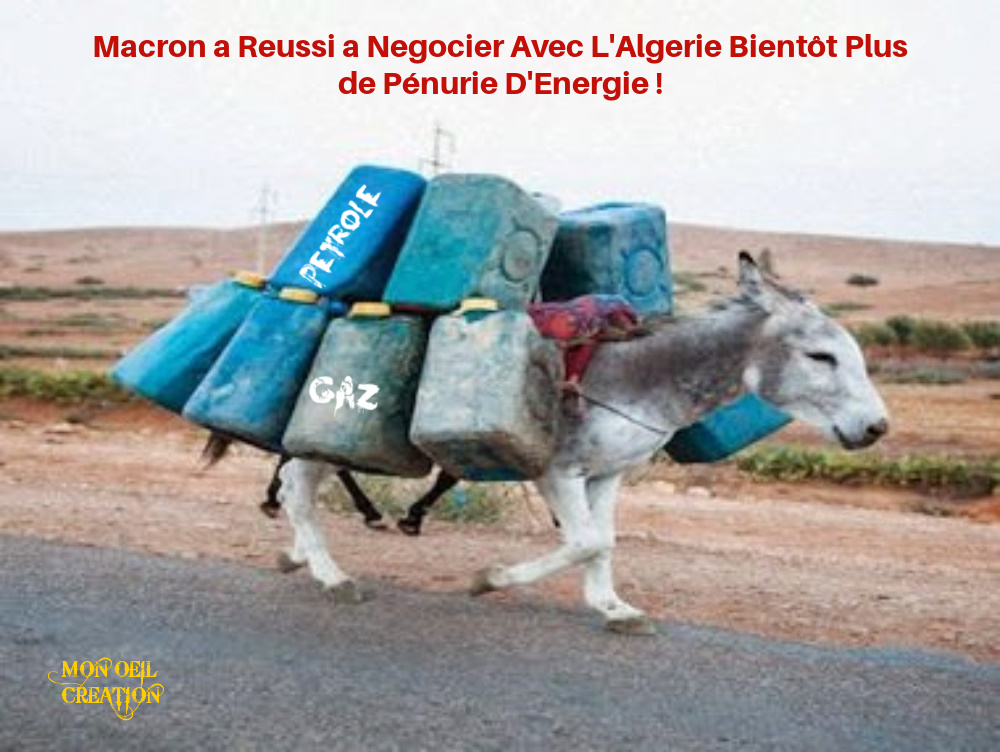 BZ8. Humour - L'Energie Algerienne Nous Arrive Au Galop !