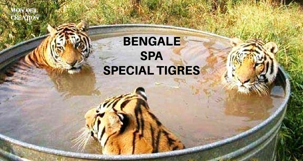 CA8. Humour - Bengale le Spa