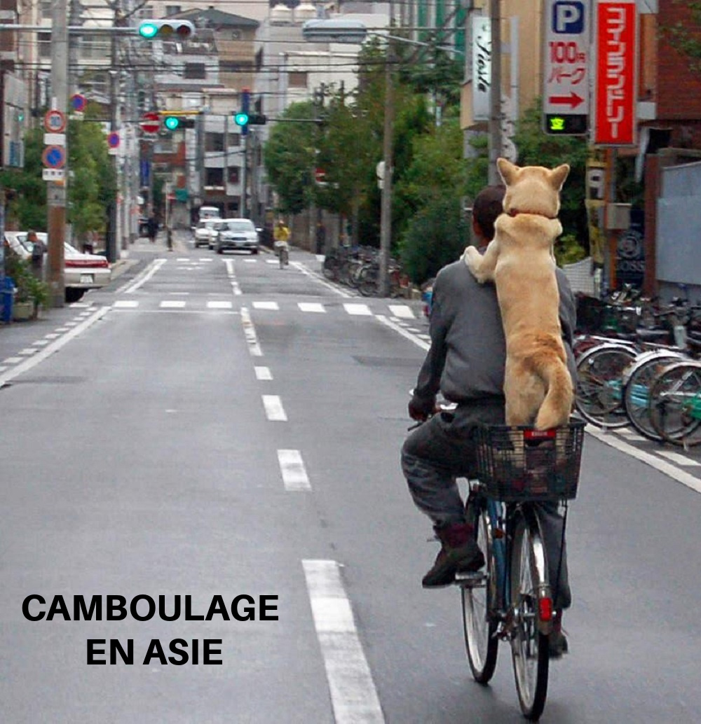 CB15. Humour - Camboulage !