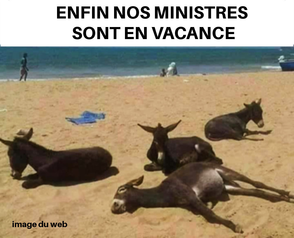 CC11. Humour - Les Ministres en Vacance