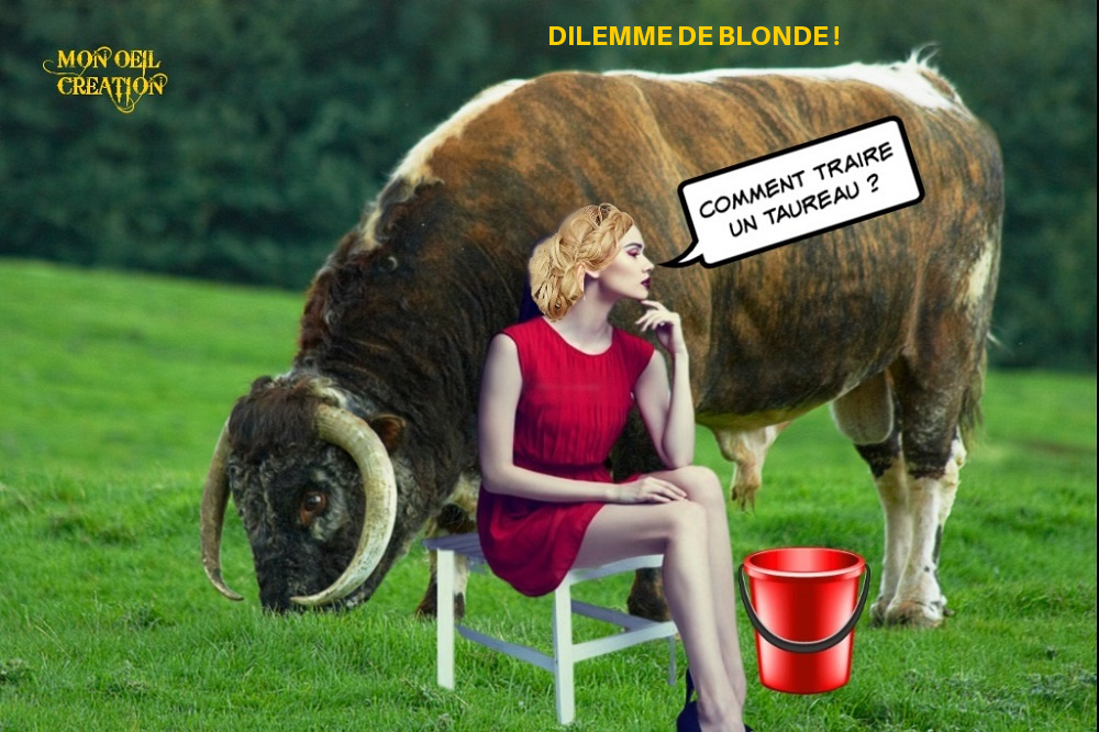 CC16. Humour - Dilemme De Blonde !