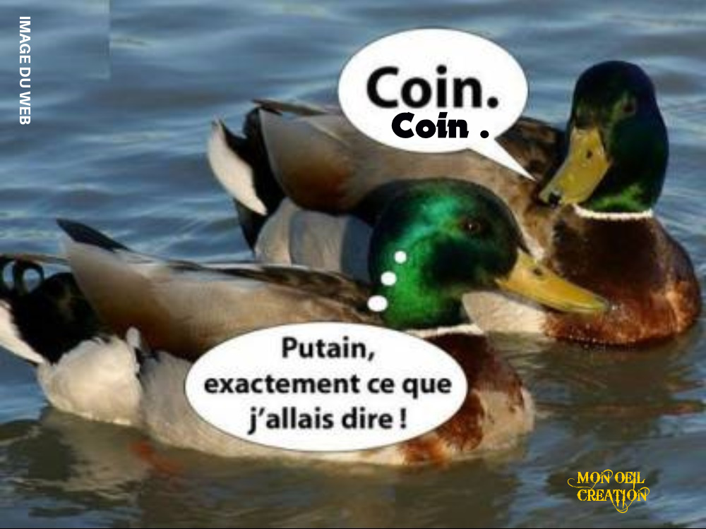 CD15. Humour - Les Coin Coin