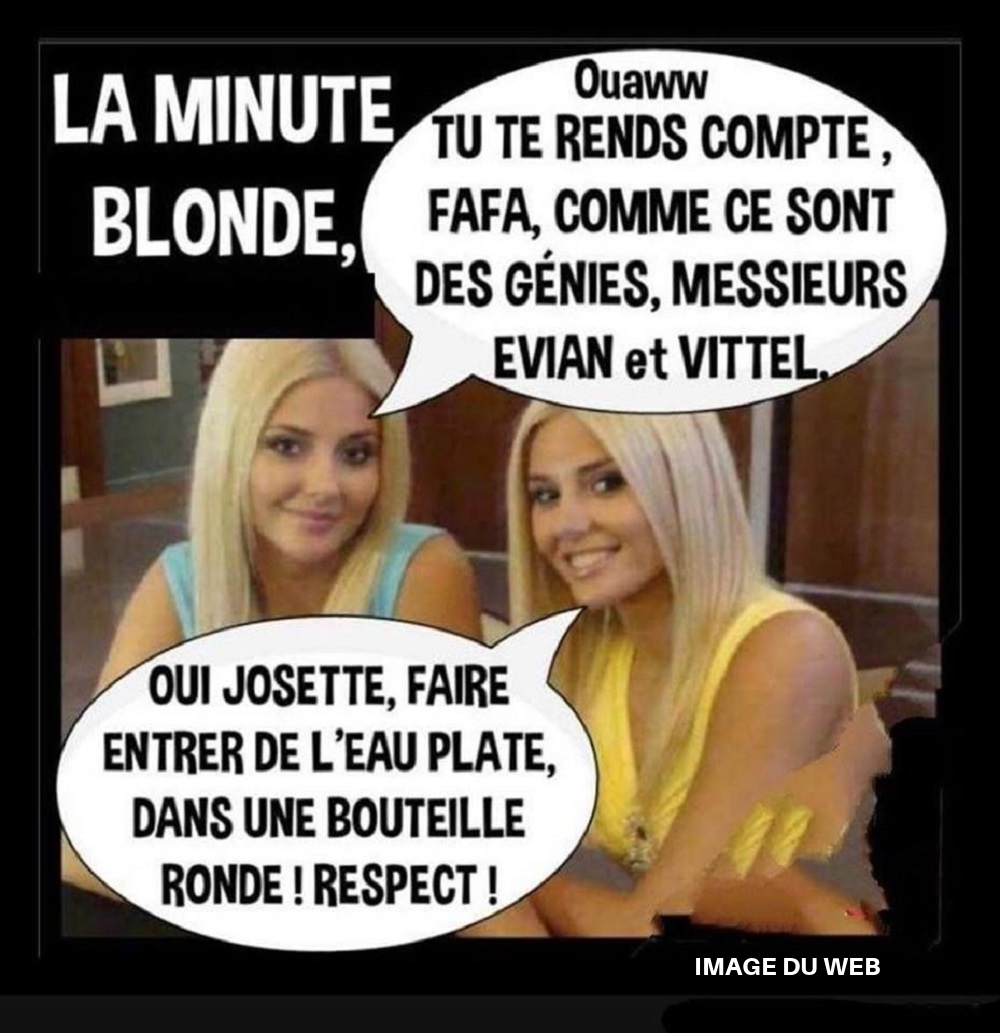 CG20. Humour- Dialogue De Blondes
