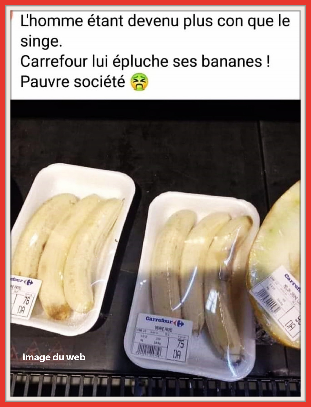 CI05. Humour - Les Bananes