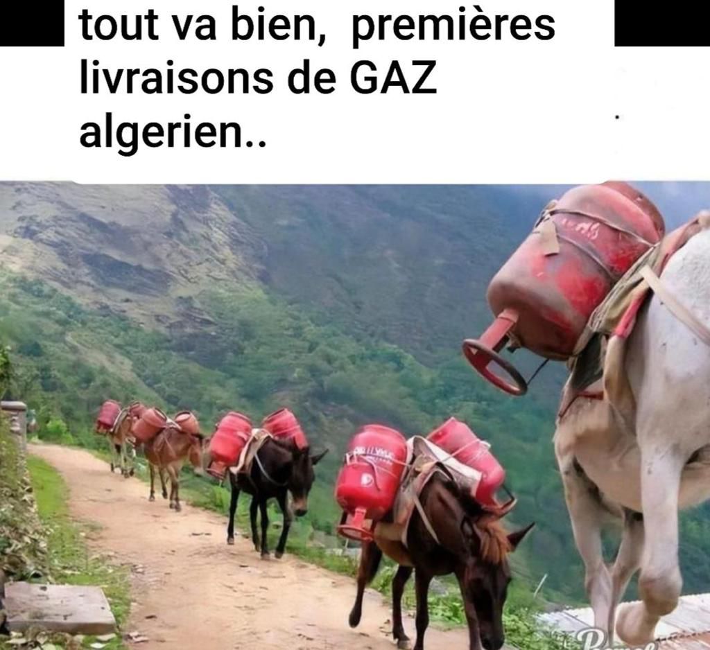 CM15. Humour - Le Gaz Algérien