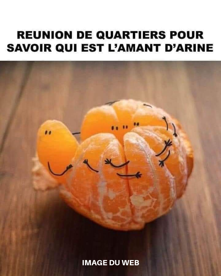 CM24. Humour - Langage Fruité