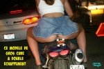 E15.-Humour-Gros-Cube-Double-Echappement.jpg