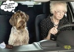 E22.-Humour-Conduire-Avec-Mamie.jpg