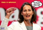 H26.-Politique-Miss-Nutella-Sadegouline-Fakes.jpg
