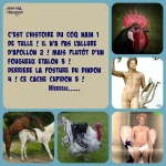 I19.-Politique-Le-Coq-de-Tulle-.jpg