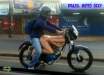 F25.-Humour-Moto-Sexy.jpg