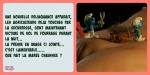 G3.-Humour-Vol-de-Fourrage.jpg