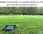 G18.-Humour-Pelouse-Interdite.jpg