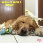 H4.-Humour-Amities-ou-Amour-Craquant-.jpg