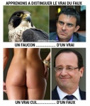 K2.-Politique-Image-du-Web-Vrai-du-Faux.jpg