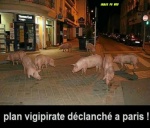 I2-Humour-Paris-Plan-Vigi-Pirate.jpg