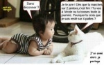 I9.-Humour-Sur-Quatres-Pattes.jpg