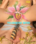I18.-Humour-Body-Pollinisation-de-Labeille.jpg