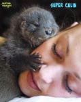J1.-Humour-Le-Plus-Beau-Calin.jpg