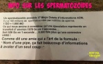 J11.-Humour-Nom-dune-Pipe.jpg