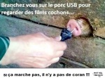 J13.-Humour-Porc-USB-.jpg