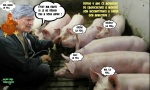 M11.-Politique-La-Foll-et-Les-Eleveurs-de-Porcs-.jpg
