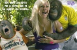 K3.-Humour-Les-Bêtes-La-Blonde-.jpg