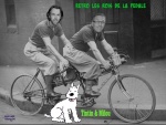 K23.-Humour-Les-Rois-De-La-Pédale-Tintin-Milou.jpg