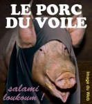 L11.-Humour-le-porc-Copie.jpg