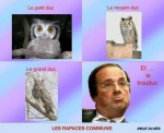O14.-Politique-Le-Trouduc-.jpg