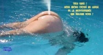 M13.-Humour-Baleine-Rose.jpg