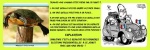 P5.-Politique-Similitude-de-Situation.jpg