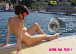 M19.-Humour-Le-Requin-La-Belle-.jpg
