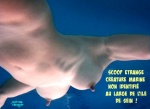 M20.-Humour-Etrange-Creature-.jpg