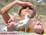 M24.-Humour-LAnomalie-.jpg