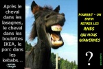 N21.-Humour-Les-Anes-Le-Gouvernement-Copie.jpg