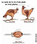 N24.-Humour-Sicle-de-Vie-.jpg