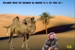 Q11.-Politique-Vacance-Au-Magreb-.jpg