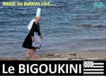 O1.-Humour-Vive-Le-Bigoukini.jpg