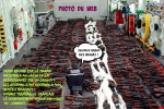 Q28.-Politique-Arsenal-Saisie-Pour-Gentils-Migrants.jpg