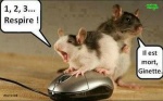 Q2.-Humour-Histoire-de-Souris.jpg