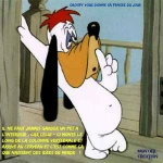 Q12.-Humour-Droopy-La-Pensée-Du-Jour.jpg