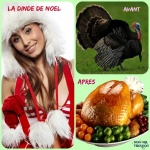Q15.-Humour-Les-Dindes-de-Noel.jpg