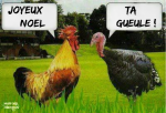 Q8.-Humour-La-Dinde-Noël-.png