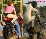 R7.-Humour-Différence-Comment-Se-Déplacer-.jpg