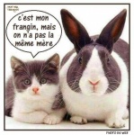 S10.-Humour-Les-Frangins.jpg