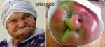 S14.-Humour-Similitude-Nature.jpg