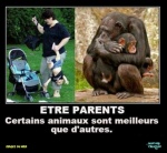 S22.-Humour-Les-Parents.jpg